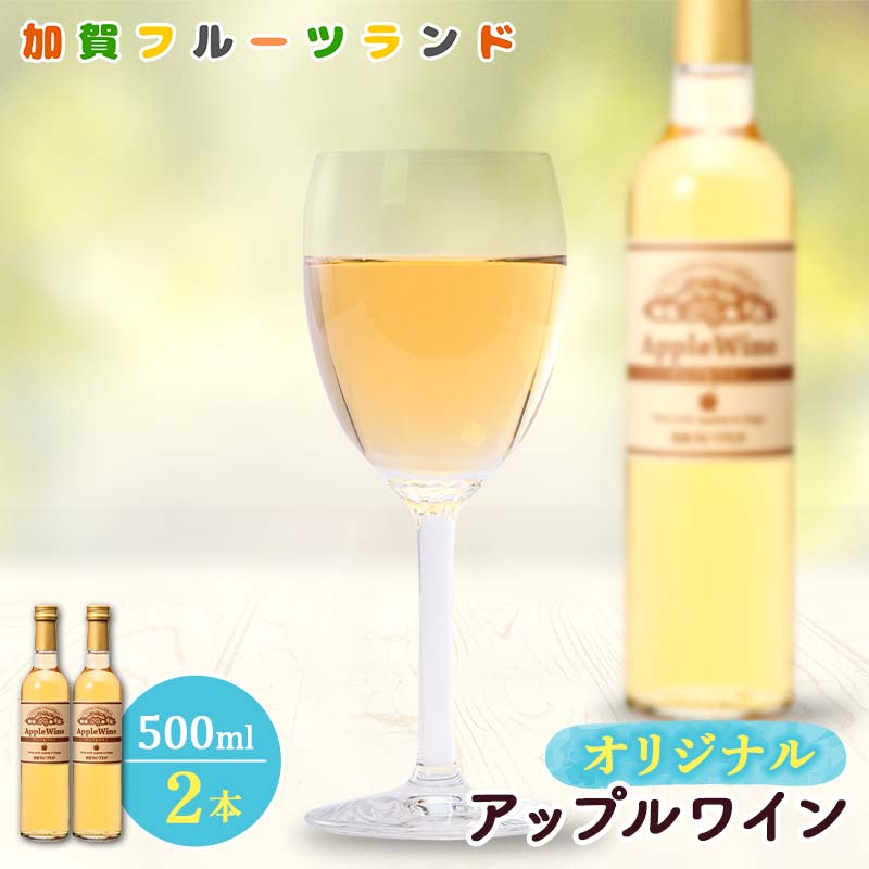 オリジナルアップルワイン 500ml×2本 F6P-1817