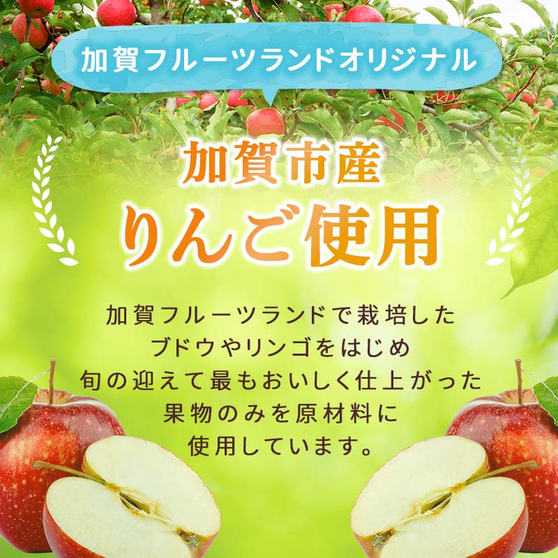 【ふるさと納税】オリジナルアップルワイン 500ml×2本 F6P-1817 サムネイル2