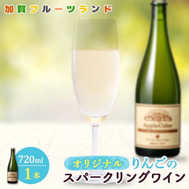 オリジナルりんごのスパークリングワイン 750ml×1本 F6P-1818
