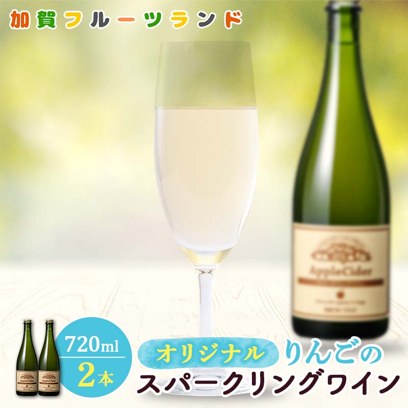 オリジナルりんごのスパークリングワイン 750ml×2本 F6P-1819