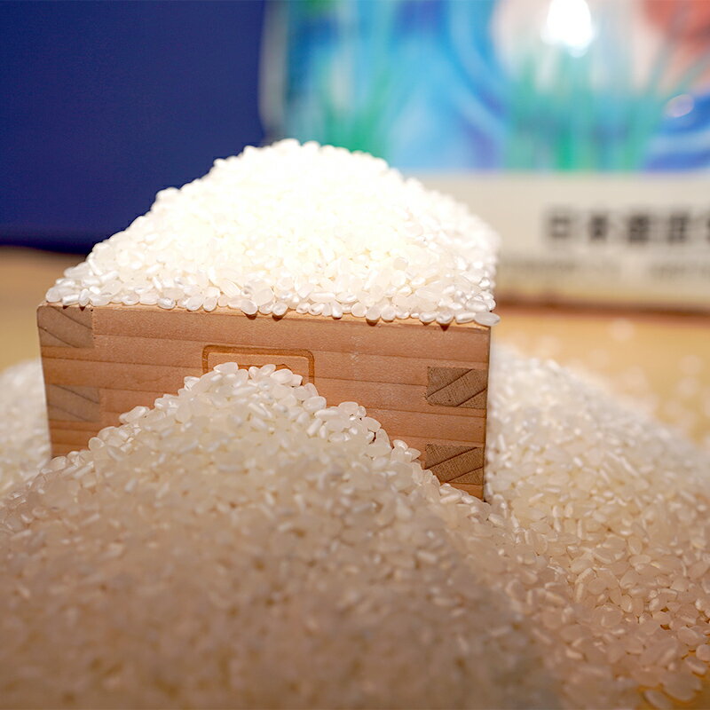 【ふるさと納税】令和7年産 新米 有機栽培米コシヒカリ 石川県加賀市産（合鴨米）精米5kg お米 合鴨 コメ 米 ごはん 有機栽培 有機JAS認証 グルメ 食品 復興 震災 コロナ 能登半島地震復興支援 北陸新幹線 F6P-2992 - 画像3