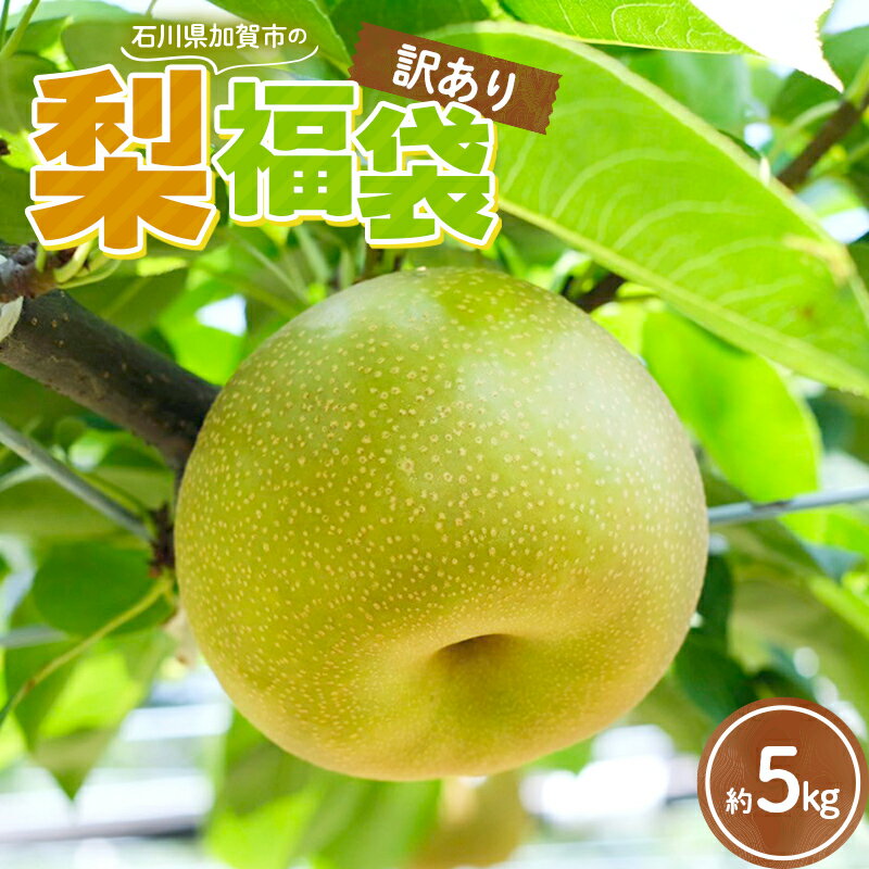 ＜25年11月末までに発送＞【訳あり】梨 福袋 5kg 旬の品種を1品種お届け くだもの 果物 フルーツ ご当地 食品 幸水 豊水 あきづき 新高 新興 愛宕 F6P-2945