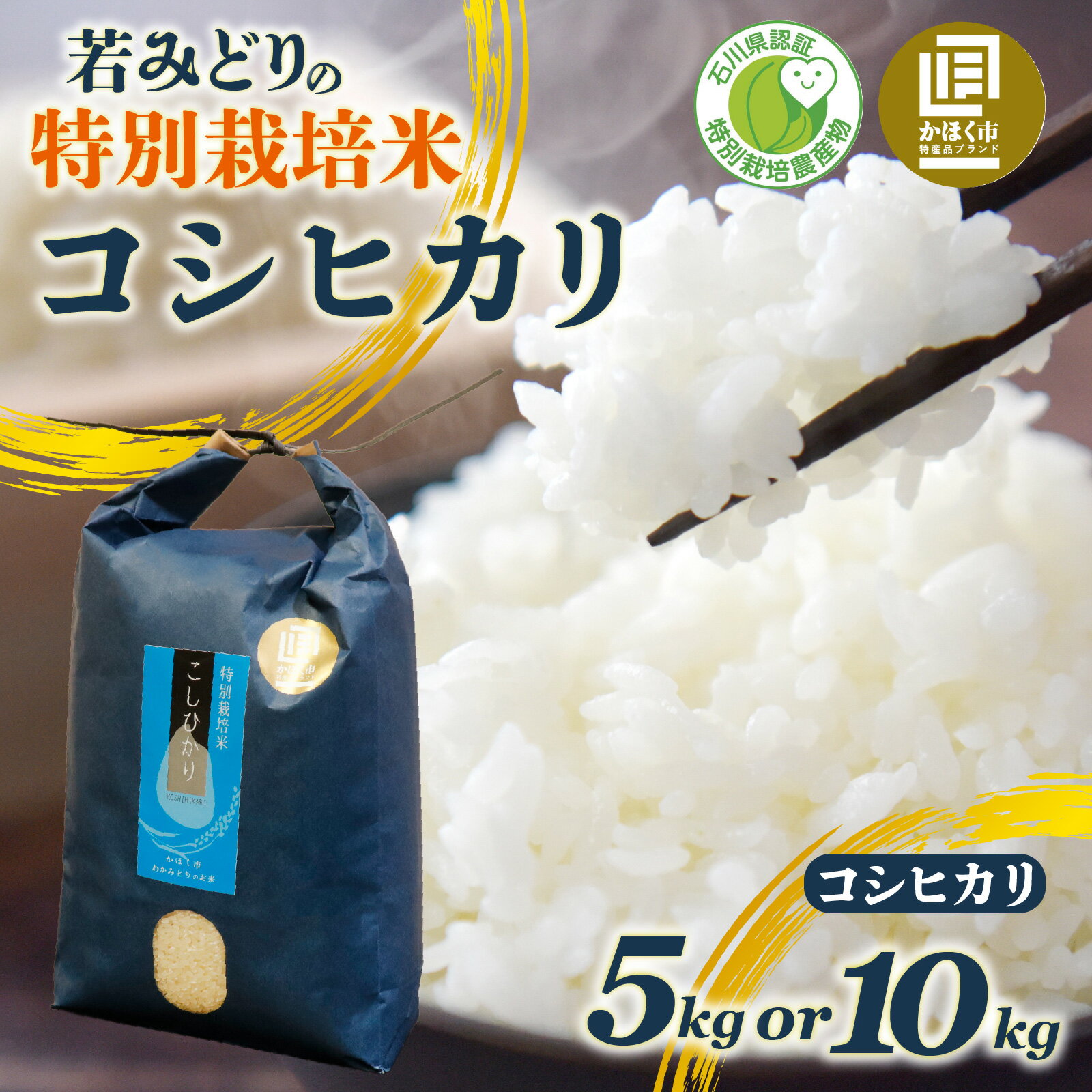 若みどりの こしひかり 5kg ～ 10kg / コシヒカリ お米 米 こめ コメ 白米 ご飯 5キロ 10キロ 若緑産 特別栽培米令和7年産 単一原料米 国産 食品 常温 お取り寄せ 送料無料