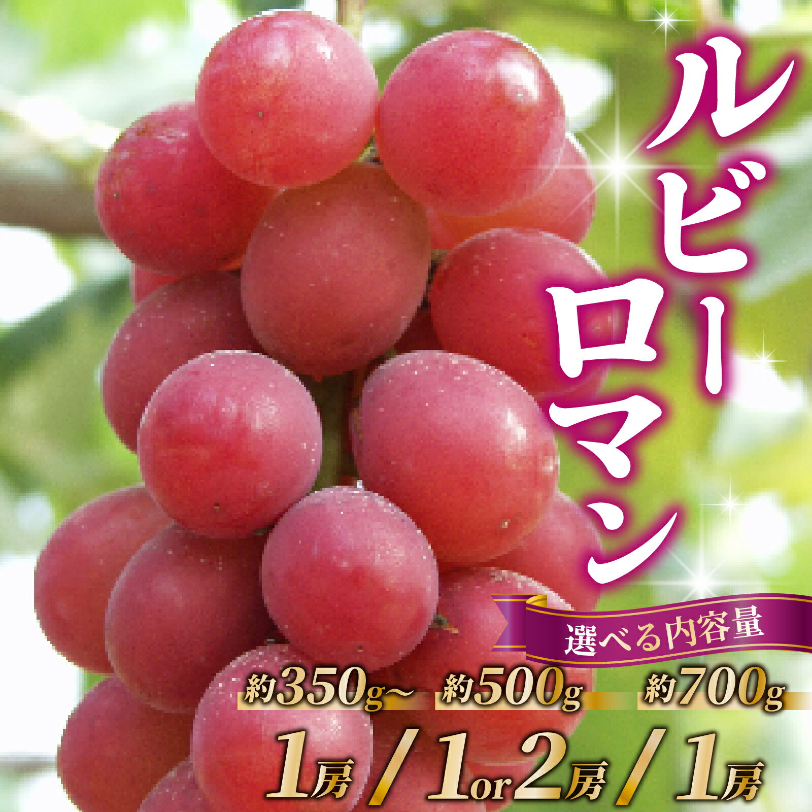 【先行予約 2026年収穫分】【選べる容量】ルビーロマン 「約350g×1房」 or 「約500g×1房～2房」 or 「約700g×1房」 【2026年8月中旬より順次発送】 | ぶどう 葡萄 ブドウ フルーツ 果物 人気 おすすめ 超高級 贈答品 美味しい 甘い 大粒 手土産 果実 冷蔵
