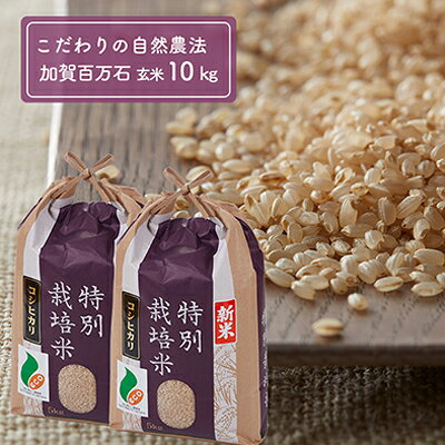 【令和7年度産】加賀百万石特別栽培米コシヒカリ玄米10kg 　お届け：2025年9月末より順次出荷