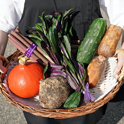 加賀の野菜おまかせ便 セット 詰合せ