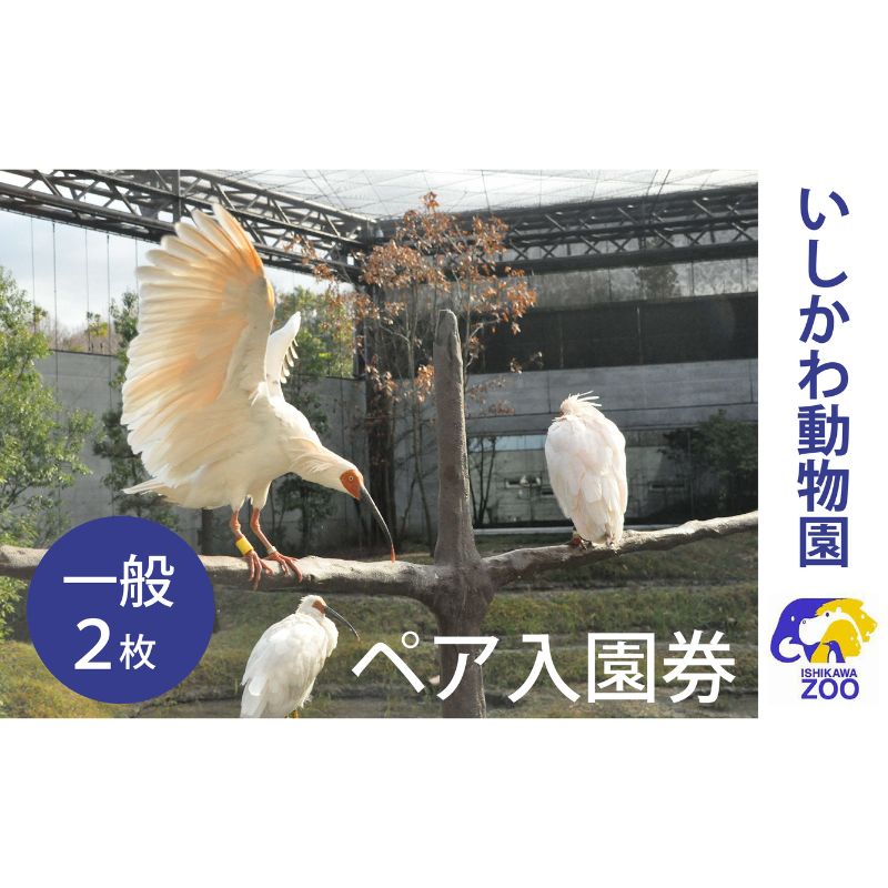チケット いしかわ動物園ペア入園券（一般）石川県 能美市