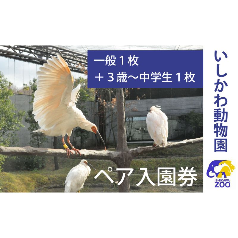 チケット いしかわ動物園ペア入園券（一般＋3歳以上中学生以下）石川県 能美市