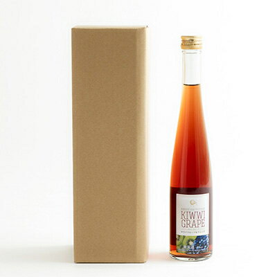 【ふるさと納税】キウイ・グレープ　375ml×1本【1206021】 サムネイル3