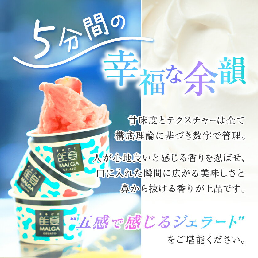 【ふるさと納税】ジェラート・アイス(3個・6個・8個・12個)_ まるごと能登ジェラート 能登 世界大会受賞 受賞歴 ピスタチオ ジェラート マルガージェラート アイスクリーム 詰め合わせ フレーバー セット 石川県 野々市市 【配送不可地域：離島】【G1421589】 サムネイル2