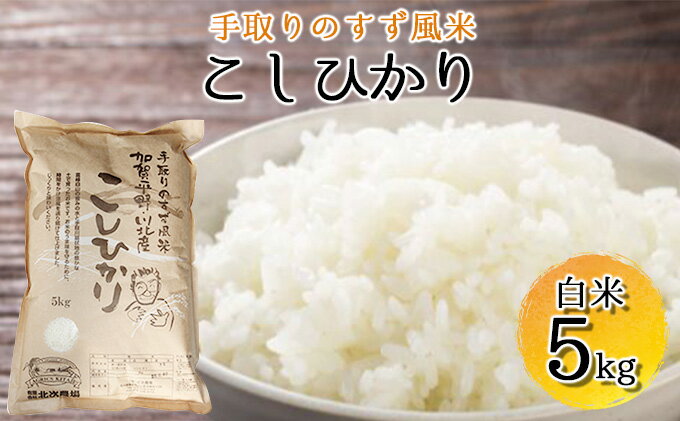 【ふるさと納税】【令和7年度産】手取りのすず風米こしひかり　白米5kg 　お届け：9月中旬から順次出荷 - 画像2