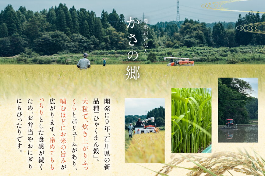 【ふるさと納税】 米 令和7年産 石川県産 ひゃくまん穀　5kg x 1袋 [農事組合法人かさの郷 石川県 津幡町 tb17bgj610001] お米 こめ おこめ ご飯 ごはん ゴハン 精米 白米 kome 令和7年 ひゃくまんごく - 画像2