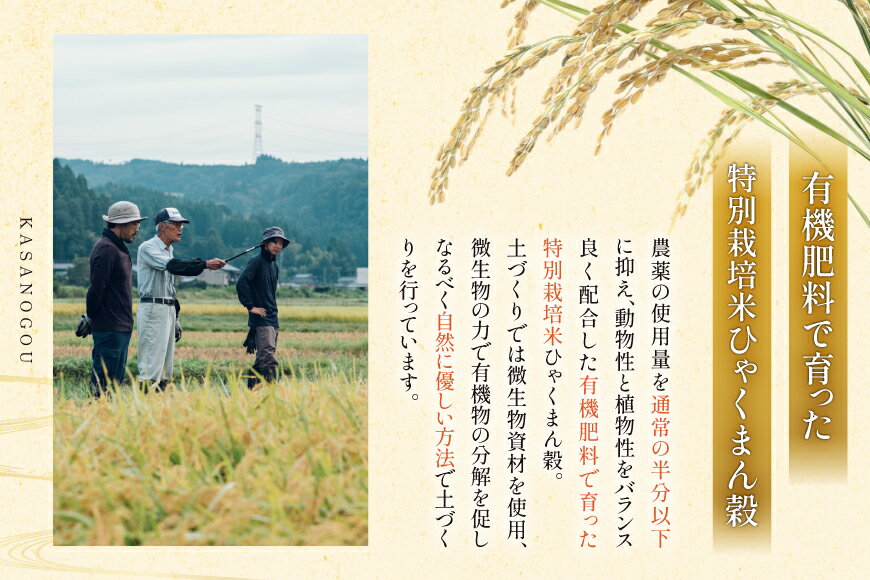 【ふるさと納税】 米 令和7年産 石川県産 ひゃくまん穀　5kg x 1袋 [農事組合法人かさの郷 石川県 津幡町 tb17bgj610001] お米 こめ おこめ ご飯 ごはん ゴハン 精米 白米 kome 令和7年 ひゃくまんごく - 画像3