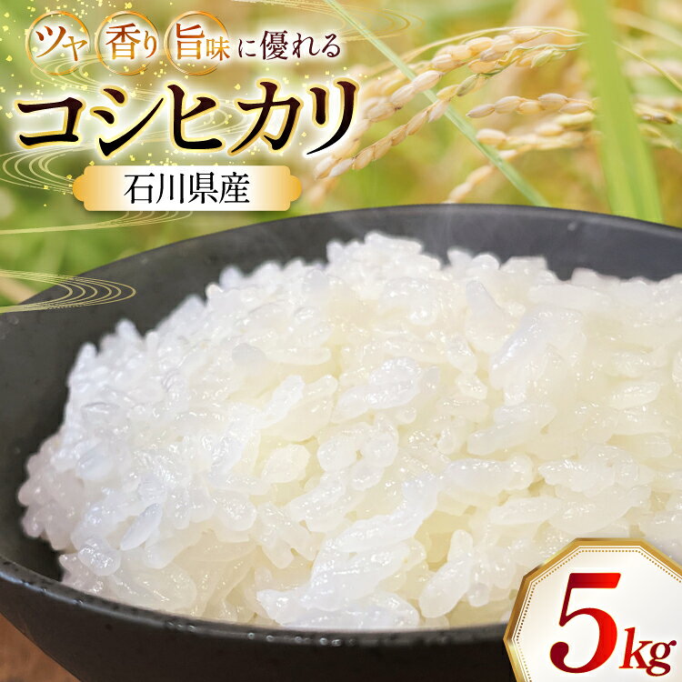 米 令和7年産 石川県産 コシヒカリ 5kg x 1袋 [農事組合法人かさの郷 石川県 津幡町 tb17bgj610003] お米 こめ おこめ こしひかり ご飯 ごはん ゴハン 精米 白米 kome 令和7年