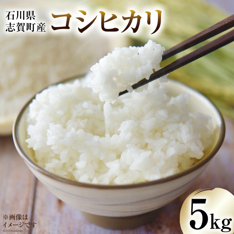 【令和7年産】米 コシヒカリ 5kg [トミヨの里 石川県 志賀町 CB4034] お米 こしひかり おこめ こめ コメ 精米 白米 ご飯 ごはん ゴハン 5キロ