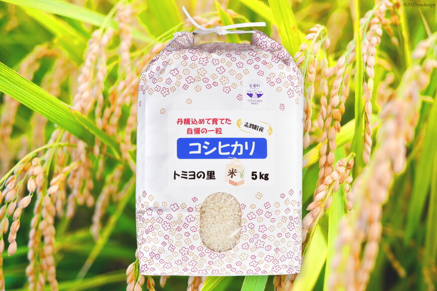 【ふるさと納税】 【令和7年産】米 コシヒカリ 5kg [トミヨの里 石川県 志賀町 CB4034] お米 こしひかり おこめ こめ コメ 精米 白米 ご飯 ごはん ゴハン 5キロ - 画像2