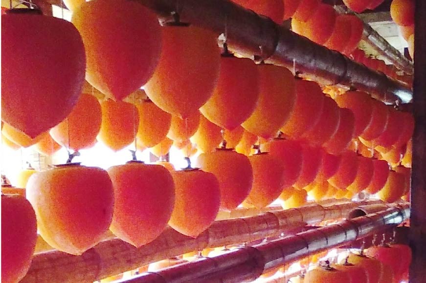 【ふるさと納税】 干柿 高級干し柿 『 ころ柿 』 500g (大サイズ 8個) [しんめい 石川県 志賀町 AE4125] 果物 くだもの ほし柿 柿 期間限定 季節限定 数量限定 石川県産 サムネイル3