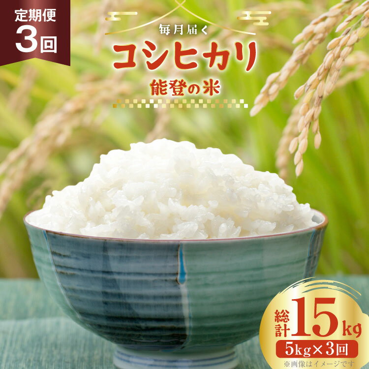 米 定期便 令和7年度産 3回 コシヒカリ 精米 5kg 計15kg [YUファーム 石川県 志賀町 CL5002] ご飯 お米 コメ 白米