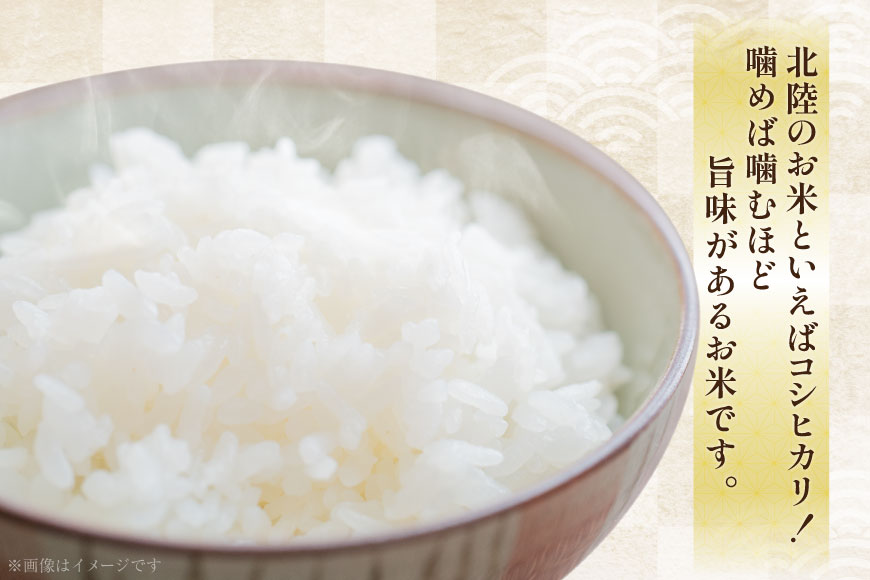【ふるさと納税】 米 定期便 令和7年度産 3回 コシヒカリ 精米 5kg 計15kg [YUファーム 石川県 志賀町 CL5002] ご飯 お米 コメ 白米 - 画像2