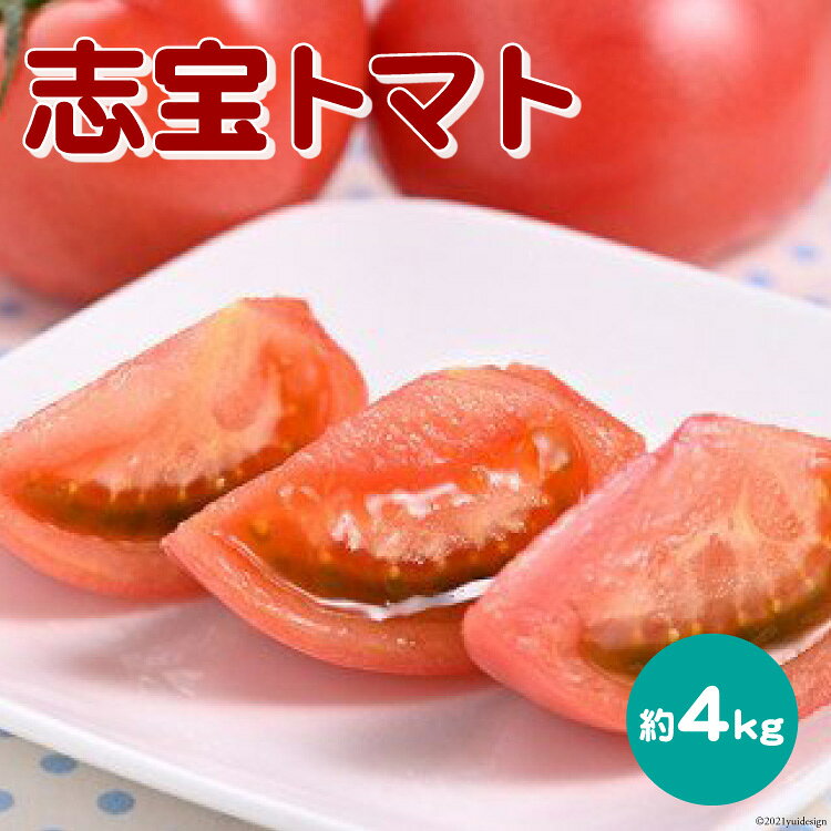 志宝トマト 約 4kg [モアショップヤマモト 石川県 宝達志水町 38601137] トマト とまと 野菜 食品 石川県産 ◎