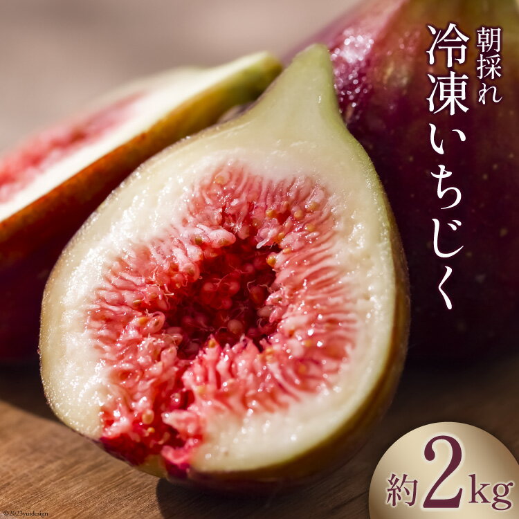 【期間限定発送】 完熟 いちじく 2kg 冷凍 [モアショップヤマモト 石川県 宝達志水町 38600724] 冷凍いちじく イチジク 無花果 果物 くだもの ◎