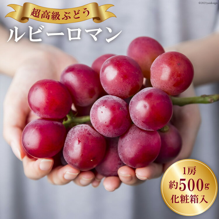 【期間限定発送】 超高級 ぶどう ルビーロマン 1房 約500g 化粧箱入 [モアショップヤマモト 石川県 宝達志水町 38601385] ブドウ 葡萄 ギフト 贈答用 贈答 フルーツ くだもの 果物 美味しい 甘い 大粒 石川