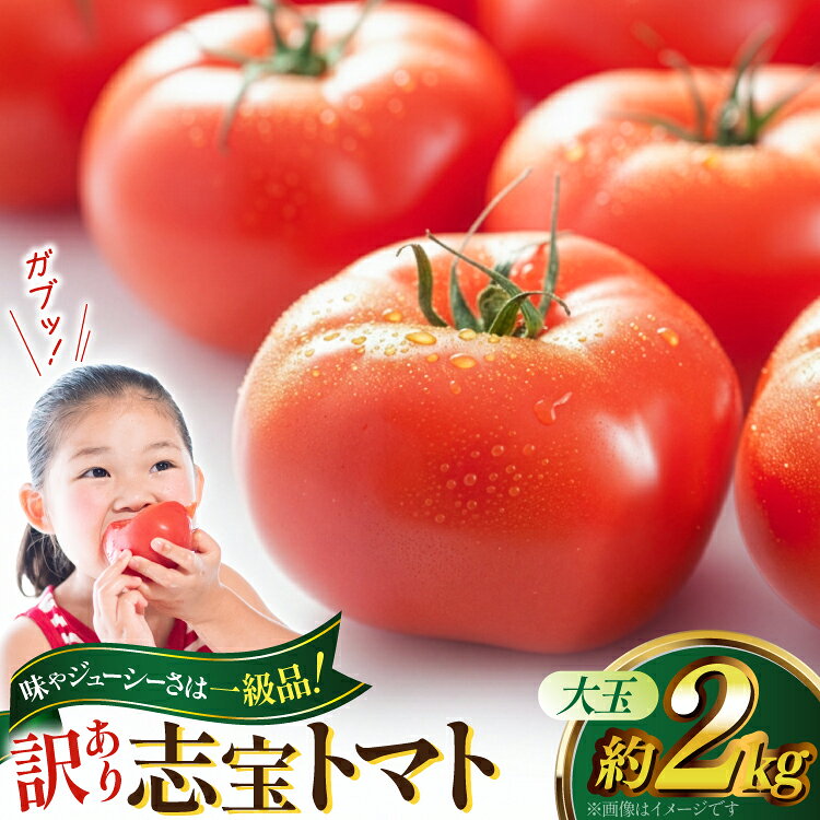 【 訳あり 】志宝トマト 大玉 約 2kg [モアショップヤマモト 石川県 宝達志水町 38601138] トマト とまと 不揃い 規格外 野菜 食品 石川県産 ◎
