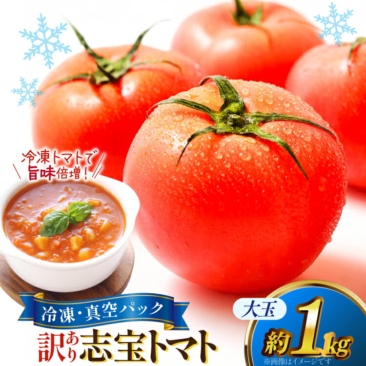 訳あり トマト 冷凍志宝トマト大玉 1kg (真空パック) [モアショップヤマモト 石川県 宝達志水町 38601347] 野菜 とまと 大玉 不揃い 規格外 1キロ わけあり 訳アリ 家庭用 やさい tomato
