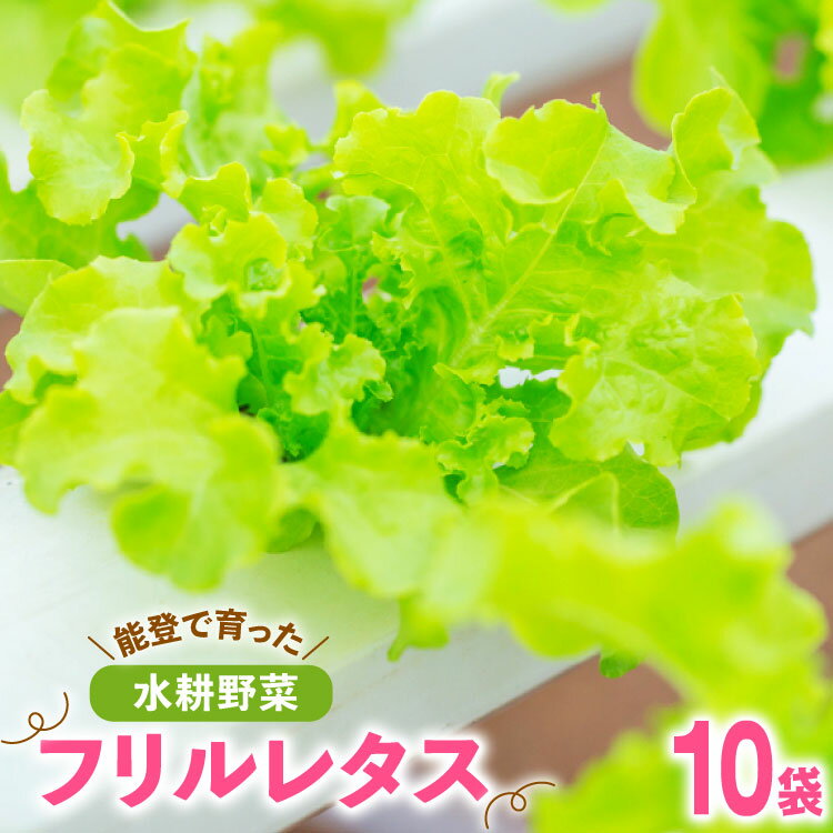フリルレタス 10袋 セット [バイテックベジタブルファクトリー 石川県 中能登町 27ap0001] 野菜 レタス 葉物 葉物野菜 水耕栽培