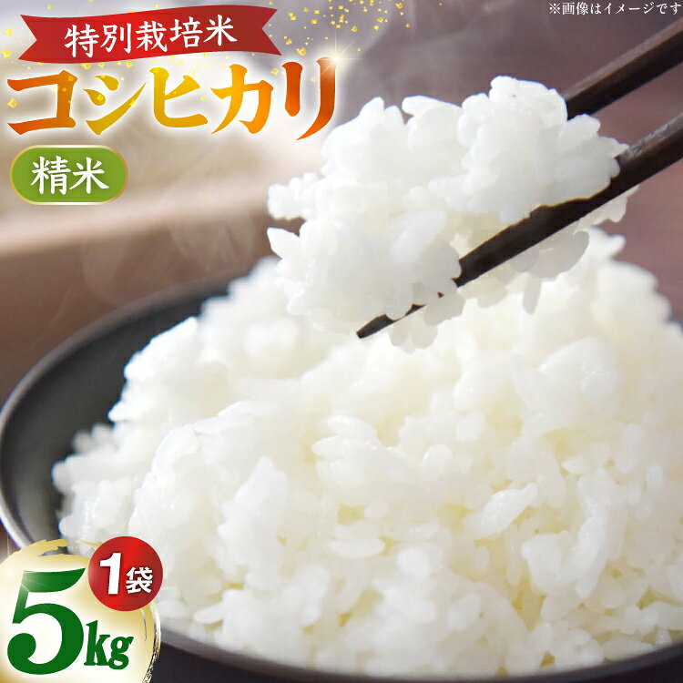 米 令和7年 能登米 コシヒカリ 白米 5kg×1袋 [久保農園 石川県 中能登町 nk17bim770000] お米 こめ コメ kome こしひかり 5キロ 能登 令和7年産 精米
