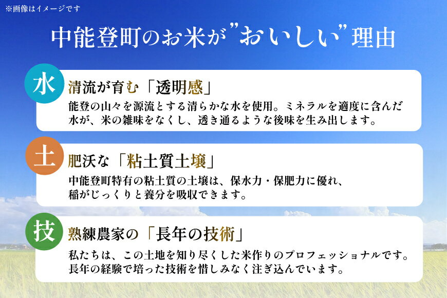 【ふるさと納税】 米 令和7年 能登米 コシヒカリ 白米 5kg×1袋 [久保農園 石川県 中能登町 nk17bim770000] お米 こめ コメ kome こしひかり 5キロ 能登 令和7年産 精米 - 画像2