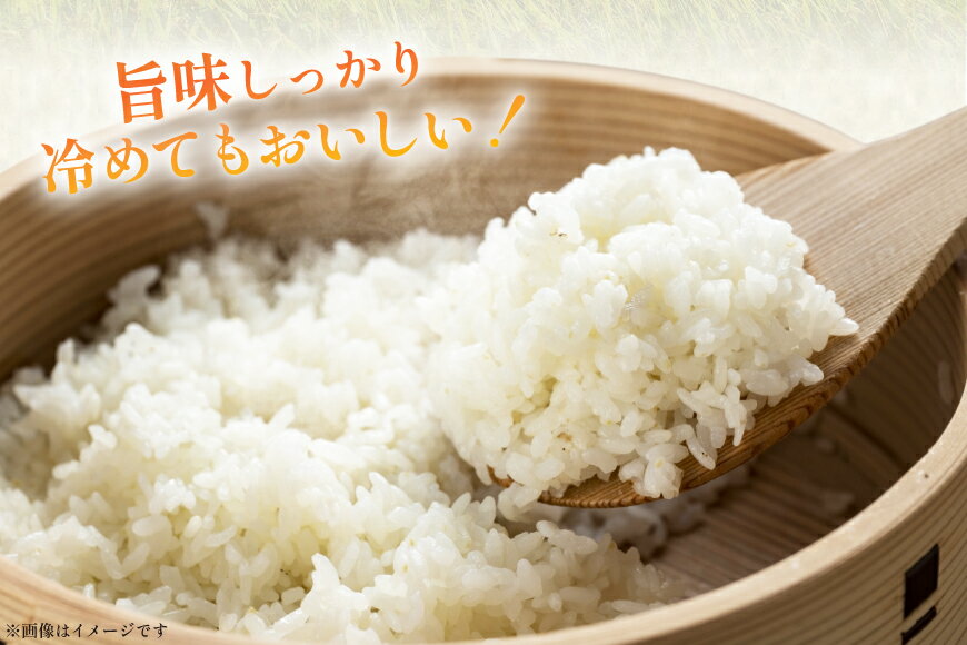 【ふるさと納税】 米 令和7年 能登米 コシヒカリ 白米 5kg×1袋 [久保農園 石川県 中能登町 nk17bim770000] お米 こめ コメ kome こしひかり 5キロ 能登 令和7年産 精米 - 画像3