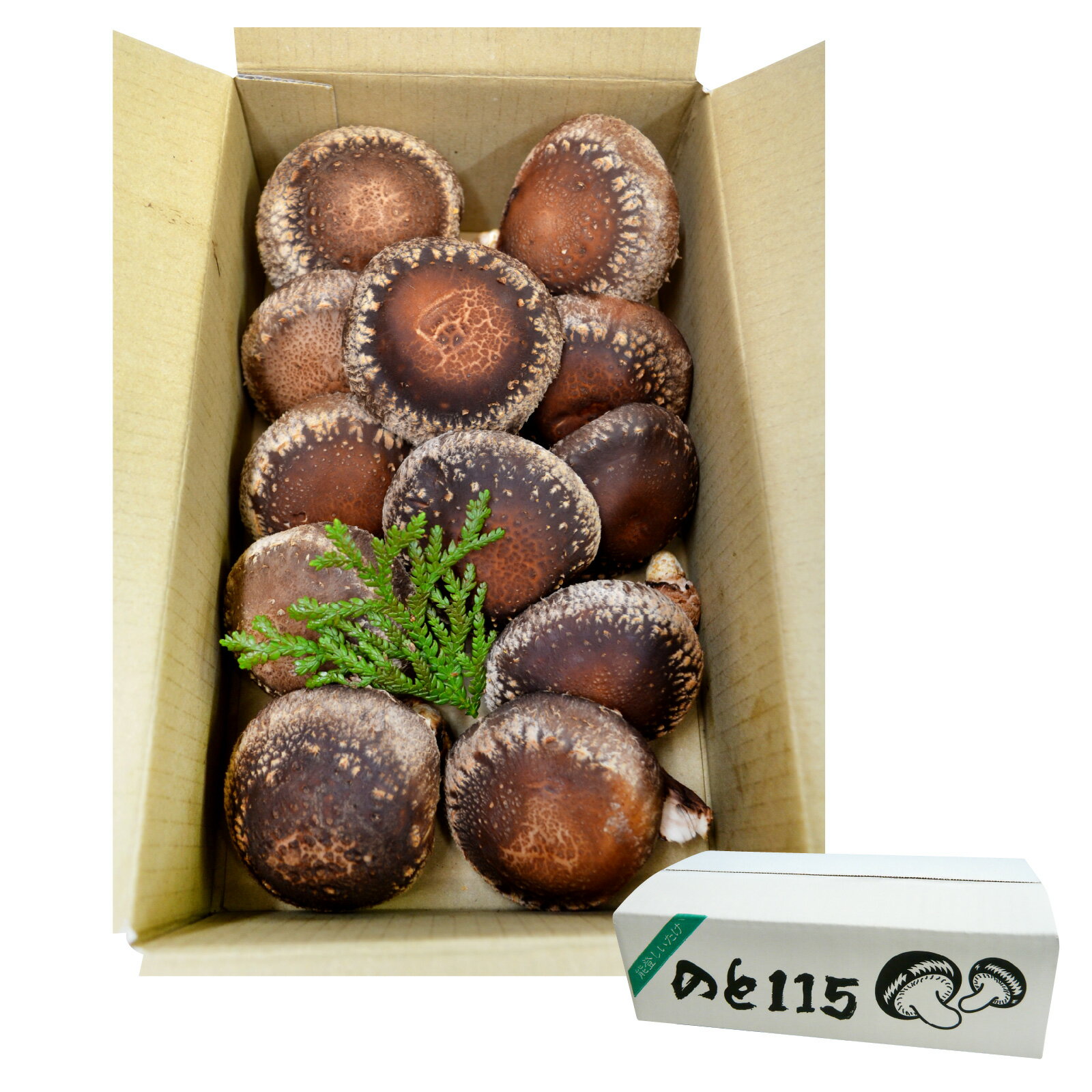 【ふるさと納税】【先行予約】奥能登 穴水産 原木しいたけ (のと115)8～12枚【2026年1月以降順次発送】/ 奥能登 能登半島 国産 椎茸 生しいたけ きのこ キノコ 原木 肉厚 食べ応え 送料無料 サムネイル3