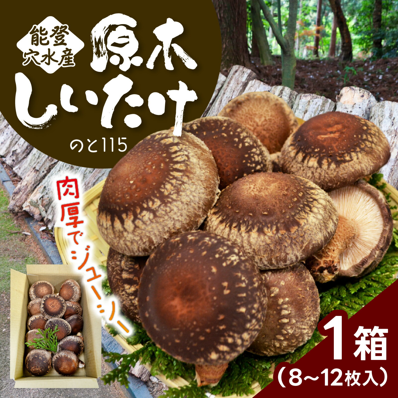 【先行予約】奥能登 穴水産 原木しいたけ (のと115)8～12枚【2026年1月以降順次発送】/ 奥能登 能登半島 国産 椎茸 生しいたけ きのこ キノコ 原木 肉厚 食べ応え 送料無料