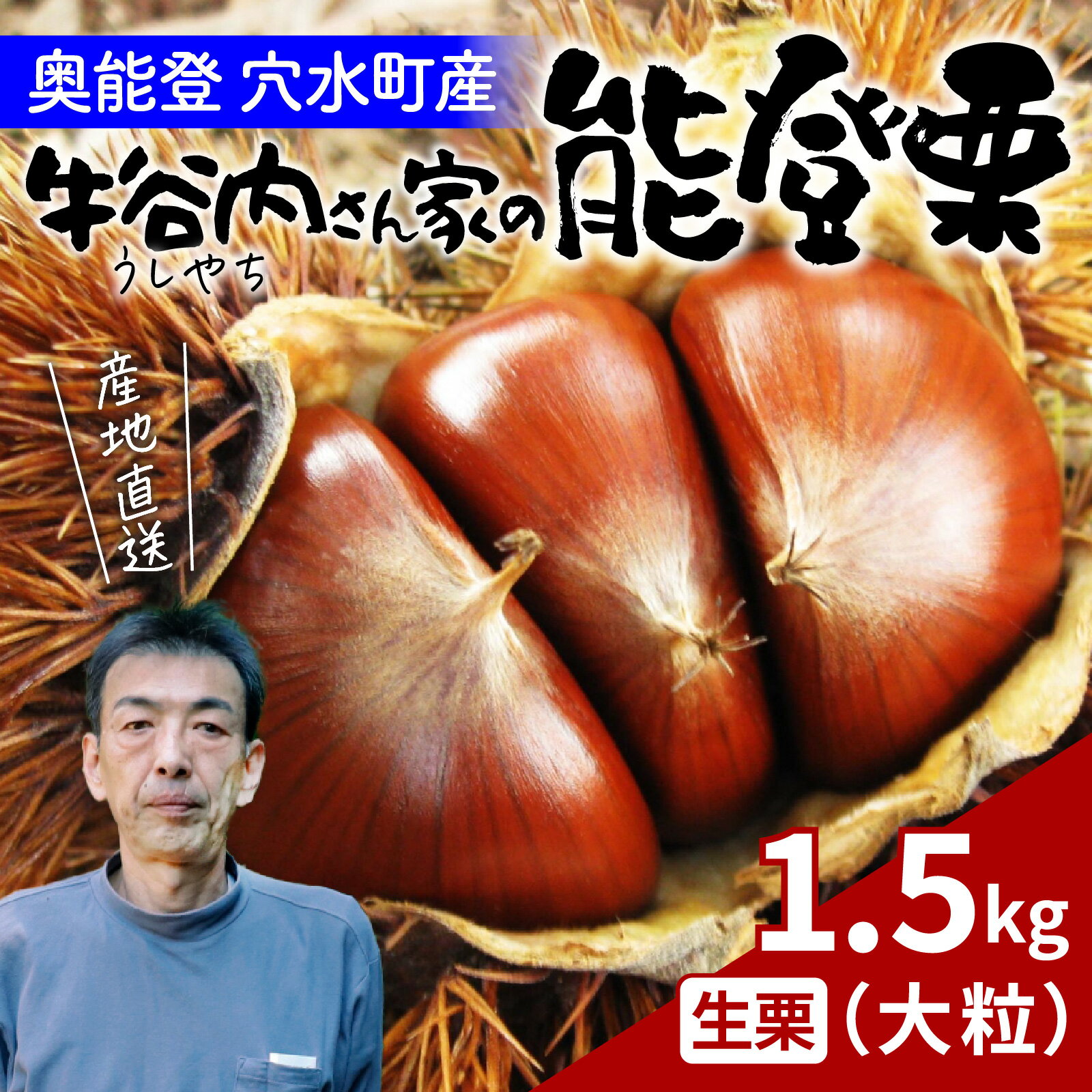 【先行予約】牛谷内農園の能登栗（大粒）1.5kg～低温熟成させたあま～い能登栗～【2025年9月末より順次発送】/ 能登半島 奥能登 くり 生栗 マロン 和栗 焼き栗 栗ごはん 焼き栗 国産 果物 送料無料