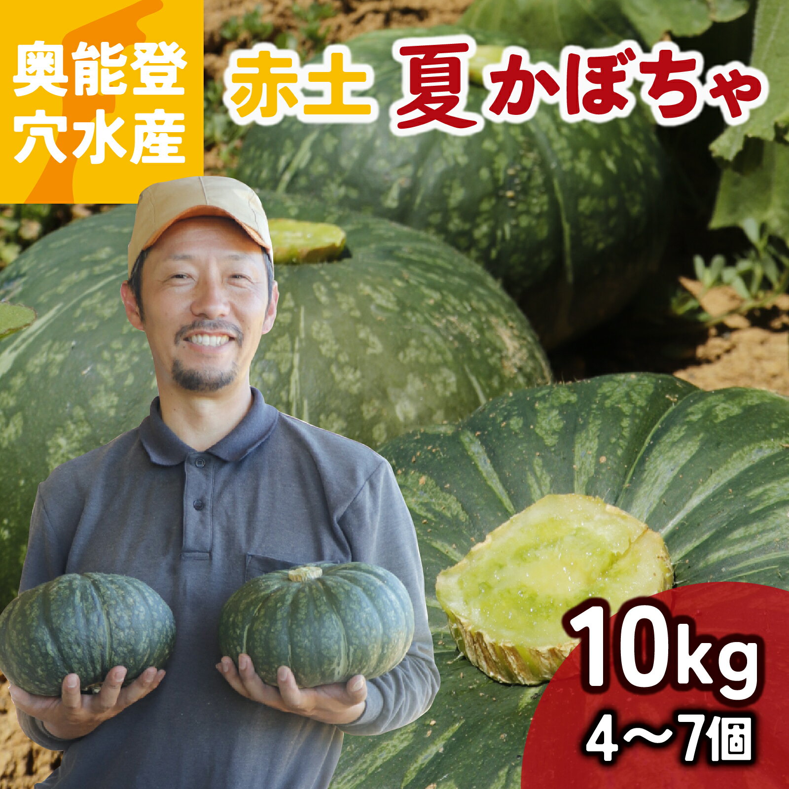 【先行予約】奥能登 穴水産 「赤土 夏かぼちゃ」約10kg（約4個～7個）【2026年8月頃より順次発送】| 奥能登 能登半島 南瓜 カボチャ 国産 甘い 野菜 数量限定 旬 煮物 スイーツ お菓子 国産