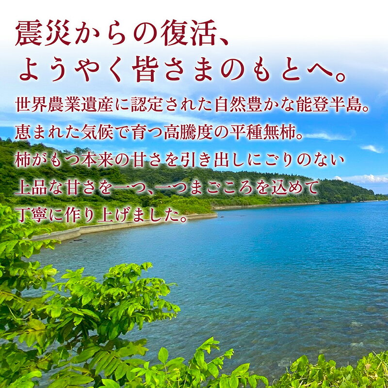 【ふるさと納税】完熟和スイーツ 「能登あんぽ柿」にごりのない甘味が絶品！ | 奥能登 能登半島 干し柿 石川県産 ドライフルーツ 柿 かき カキ 完熟 和スイーツ お菓子 和菓子 甘い - 画像2