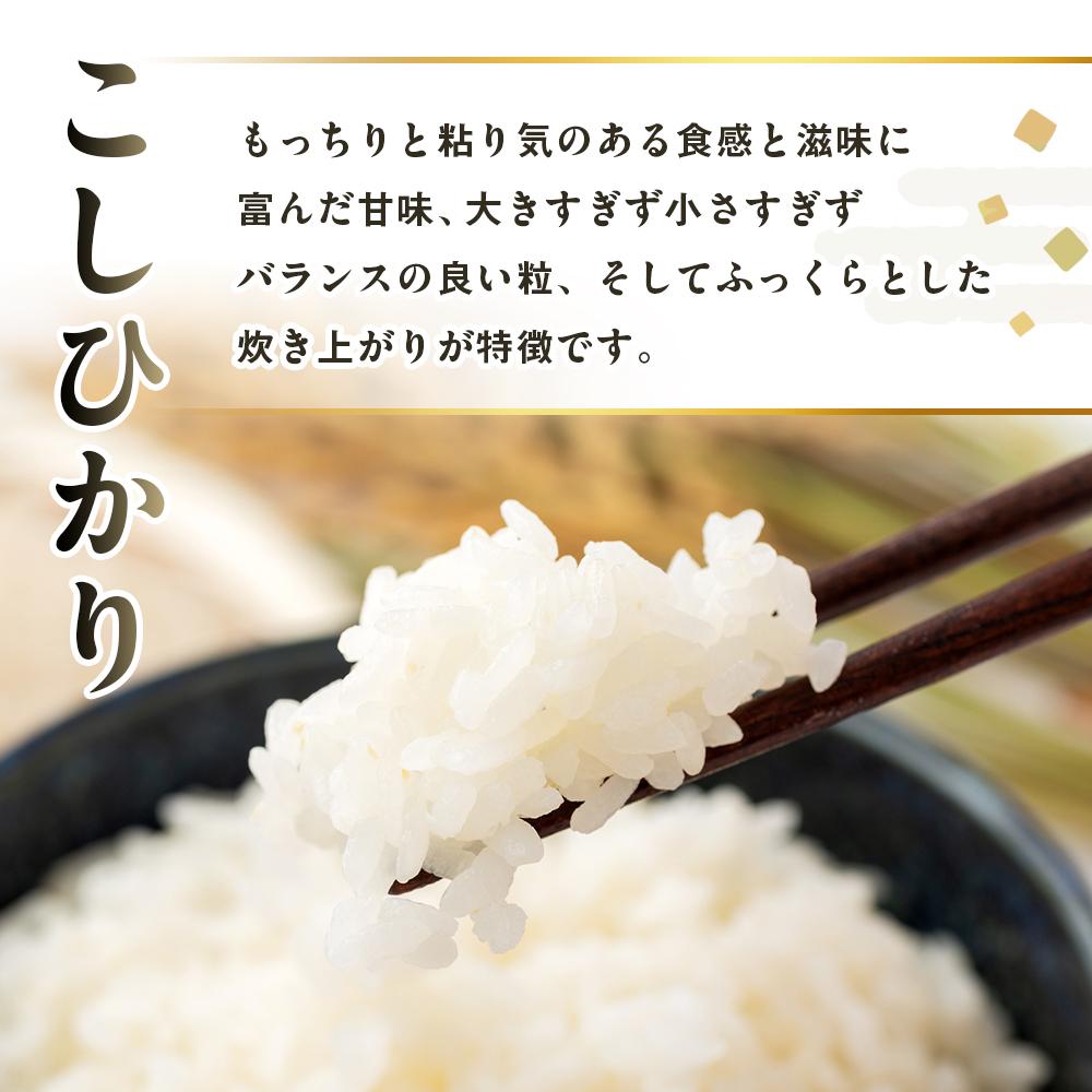【ふるさと納税】【復興支援】【令和7年度産】奥能登柳田米こしひかり5kg | 石川県 能登町 石川 能登 石川県能登町 ふるさと 納税 支援 支援品 返礼 お土産 ご当地 ご当地グルメ お米 米 国産米 ご飯 ごはん 白米 こしひかり コシヒカリ - 画像2