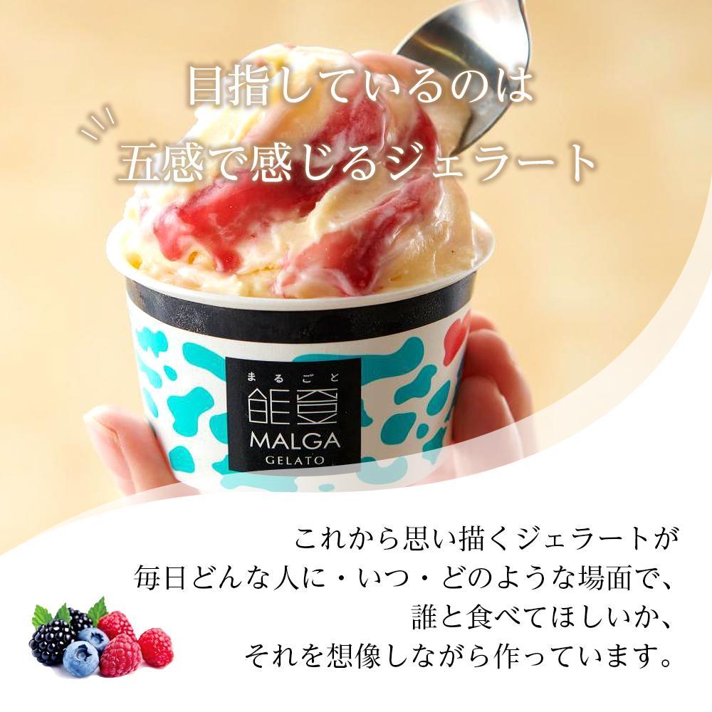 【ふるさと納税】【復興支援】マルガージェラート能登セット（12個入） | マルガー マルガージェラート ジェラート セット ジェラートセット アイス アイスクリーム 人気 おすすめ　オススメ　詰め合わせ　プレゼント　美味しい　おいしい　地元食材　中元　スイーツ　ギフト - 画像2