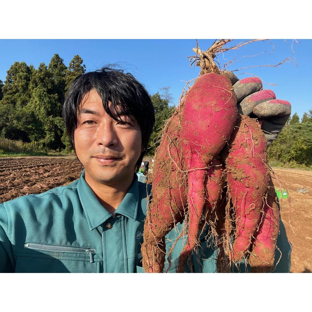 【ふるさと納税】旬まるかじり!石川県産さつまいもスティック　200g x 6袋 | サツマイモ イモ 蒸し 野菜 やさい 食品 人気 おすすめ 送料無料 - 画像3