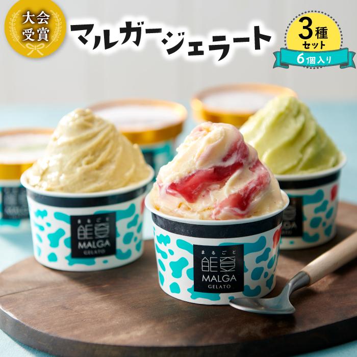 【復興支援】マルガー大会受賞ジェラート3種セット（6個入り) | 石川県 石川 能登 石川県能登町 返礼品 お取り寄せ マルガー アイスクリーム アイス スイーツ デザート 能登町 ギフト プレゼント おいしい MALGA GELATO シャーベット 大会受賞 受賞作品