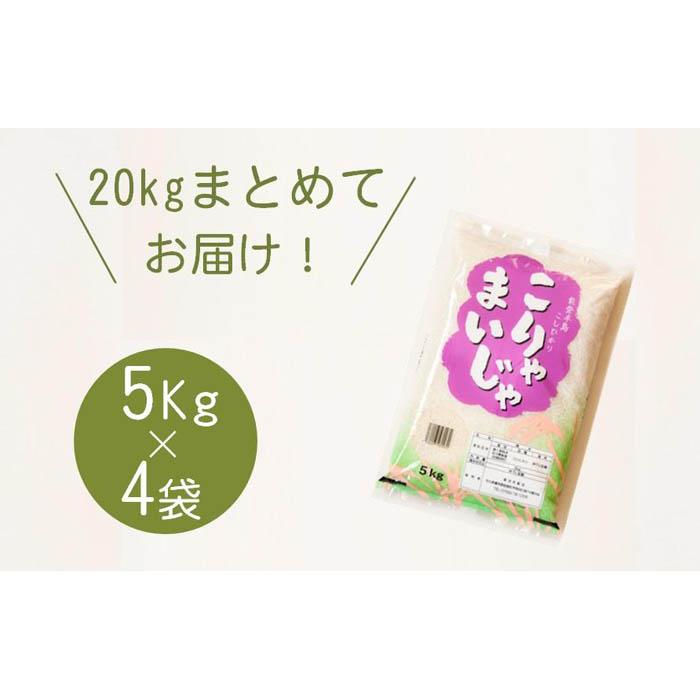 【復興支援】5kgを4袋 まとめてお届け！こりゃまいじゃ精米(奥能登柳田地区限定コシヒカリ） | 支援 支援品 返礼 お土産 取り寄せ お取り寄せ グルメ お取り寄せグルメ ご当地 ご当地グルメ お米 米 国産米 ご飯