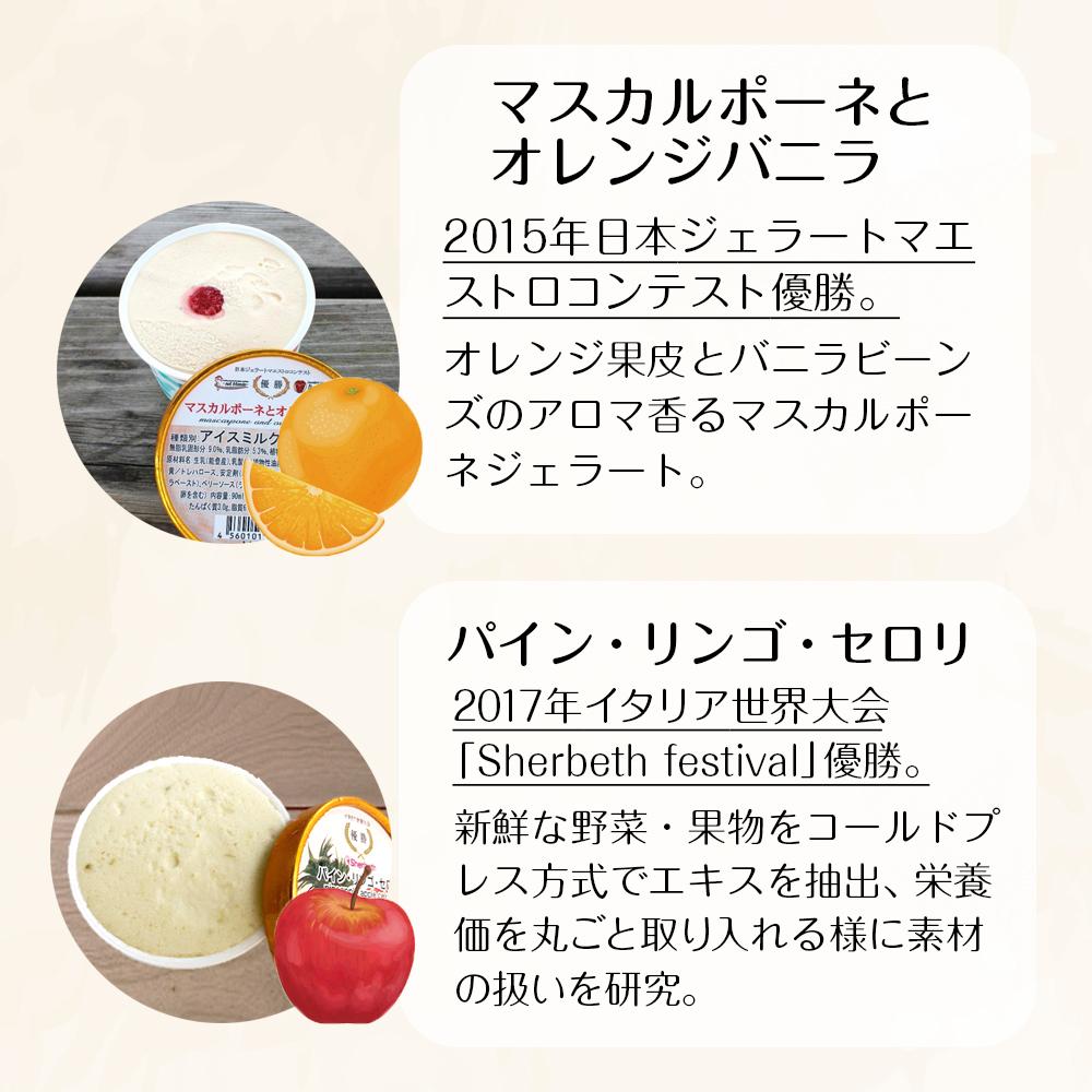 【ふるさと納税】【復興支援】マルガー大会受賞ジェラート3種セット（6個入り) | 石川県 石川 能登 石川県能登町 返礼品 お取り寄せ マルガー アイスクリーム アイス スイーツ デザート 能登町 ギフト プレゼント おいしい MALGA GELATO シャーベット 大会受賞 受賞作品 - 画像3