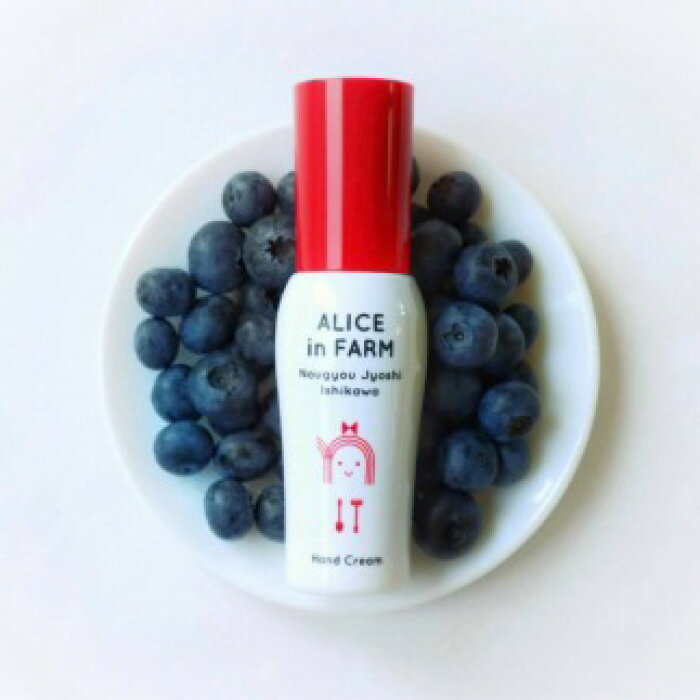 【ふるさと納税】【復興支援】【能登町プレミアム】ブルーベリーセット | 石川県 能登町 石川 能登 ふるさと 納税 支援品 返礼 取り寄せ ご当地グルメ セット 詰め合わせ ブルーベリー レトルト カレー レトルトカレー 楽天ふるさと ブルーベリーソース サムネイル2