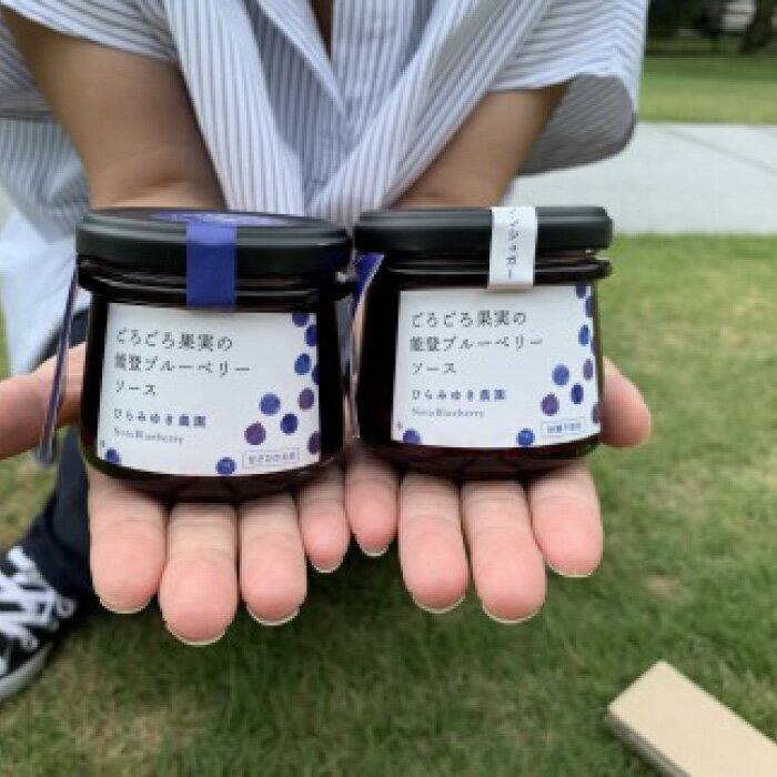 【ふるさと納税】【復興支援】【能登町プレミアム】ブルーベリーセット | 石川県 能登町 石川 能登 ふるさと 納税 支援品 返礼 取り寄せ ご当地グルメ セット 詰め合わせ ブルーベリー レトルト カレー レトルトカレー 楽天ふるさと ブルーベリーソース サムネイル3