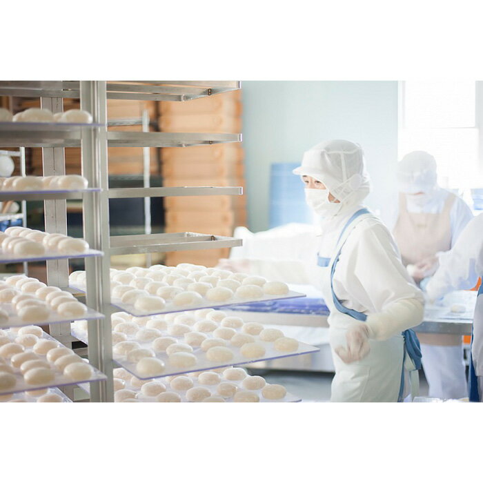 【ふるさと納税】【能登半島地震復興支援】むらのもちや　丸餅1升分 | 石川県 能登町 石川 能登 石川県能登町 ふるさと 納税 支援 支援品 返礼 食べ物 取り寄せ お取り寄せ グルメ お取り寄せグルメ ご当地 ご当地グルメ もち 餅 おもち お餅 特産品 名産 特産 名産品 - 画像2