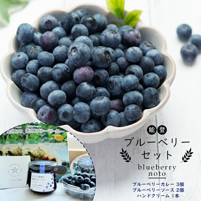 【復興支援】【能登町プレミアム】ブルーベリーセット | 石川県 能登町 石川 能登 ふるさと 納税 支援品 返礼 取り寄せ ご当地グルメ セット 詰め合わせ ブルーベリー レトルト カレー レトルトカレー 楽天ふるさと ブルーベリーソース