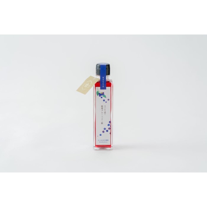 【復興支援】美容と健康に まいにち続く 能登ブルーベリー酢 2本セット | 石川県 能登町 石川 能登 石川県能登町 ふるさと 納税 支援 支援品 返礼 食べ物 お取り寄せ グルメ ご当地 ご当地グルメ 詰め合わせ ブルーベリー 特産品 名産