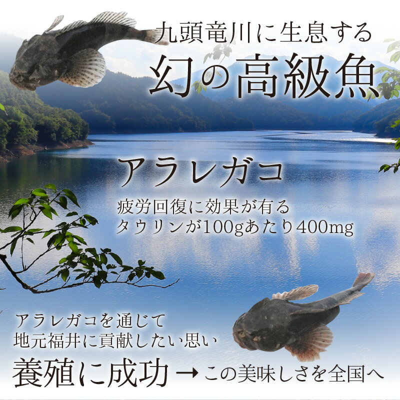 【ふるさと納税】あられがこ出汁醤油セット / 醤油 セット あられがこ 出汁 だししょうゆ 高級魚 特選醤油 疲労回復 お造り 刺身 炒め物 魚 送料無料 [A-057001] サムネイル3