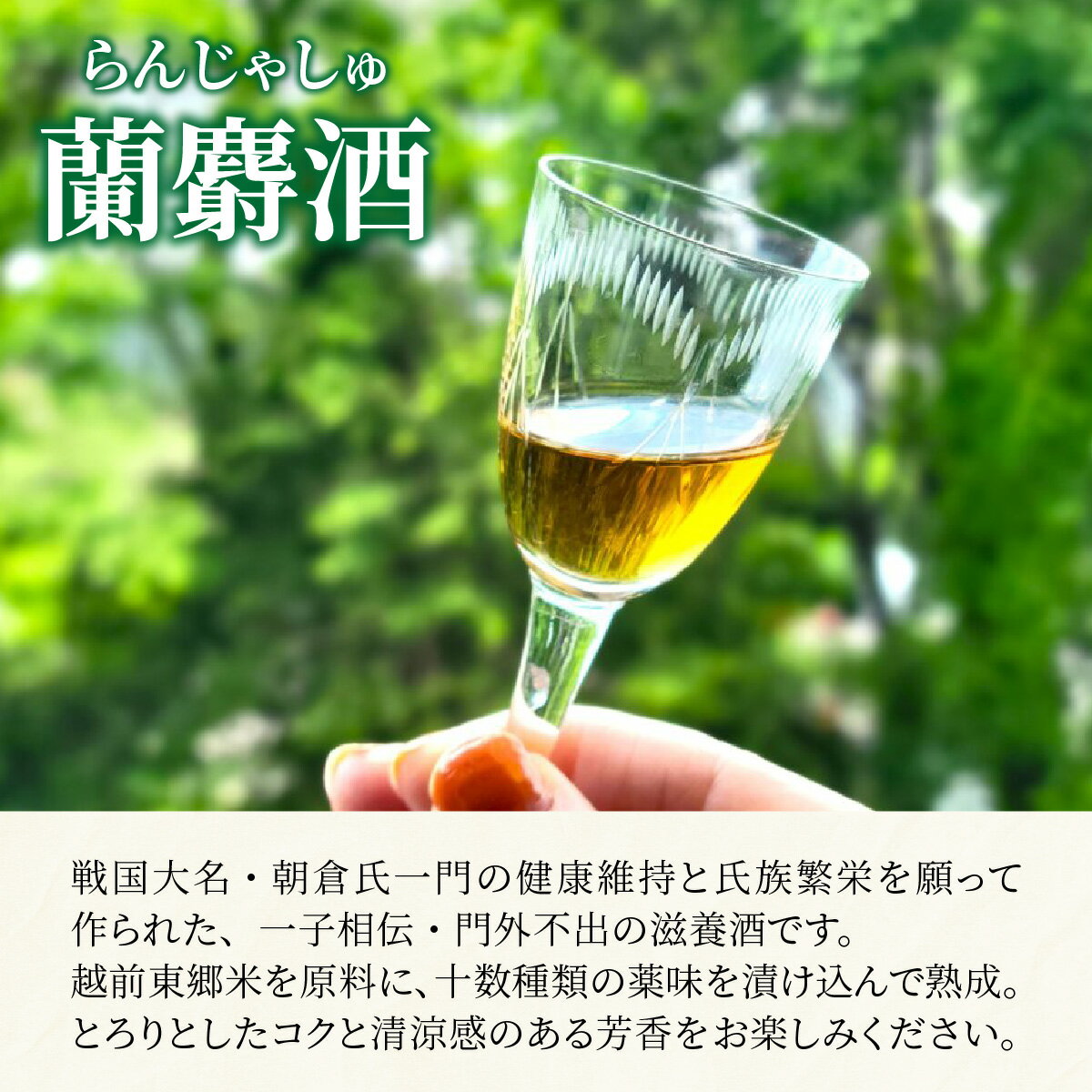 【ふるさと納税】蘭麝酒 720ml 2本詰合せ / 滋養酒 16度 お酒 ギフト お祝い 福井県 福井市 送料無料 [B-154001] サムネイル3